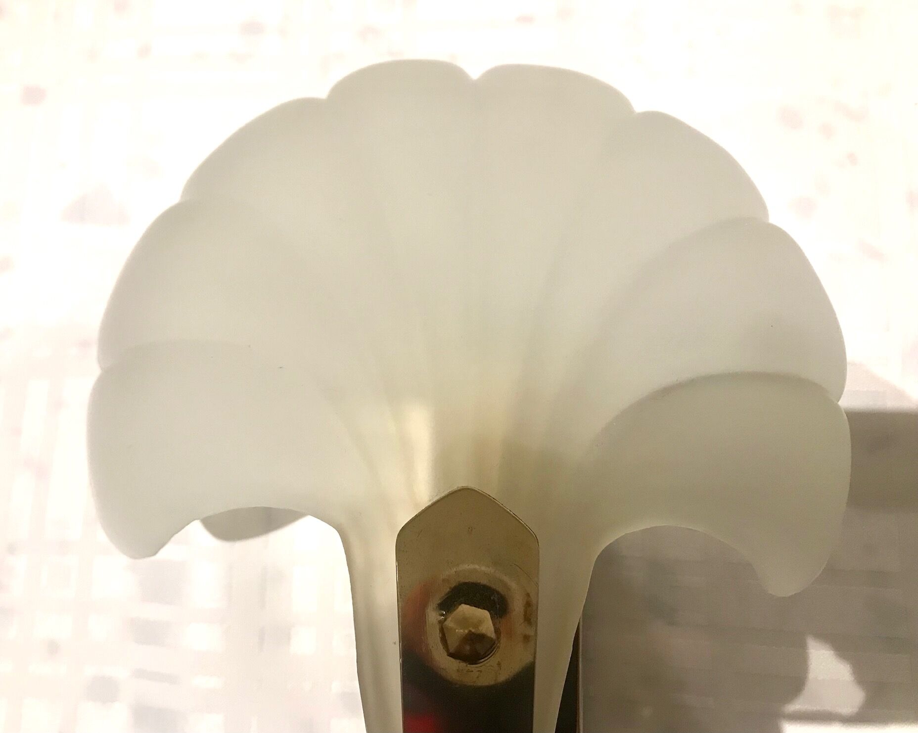 Pair of shell sconces