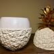 Michel Dartois pineapple ice bucket