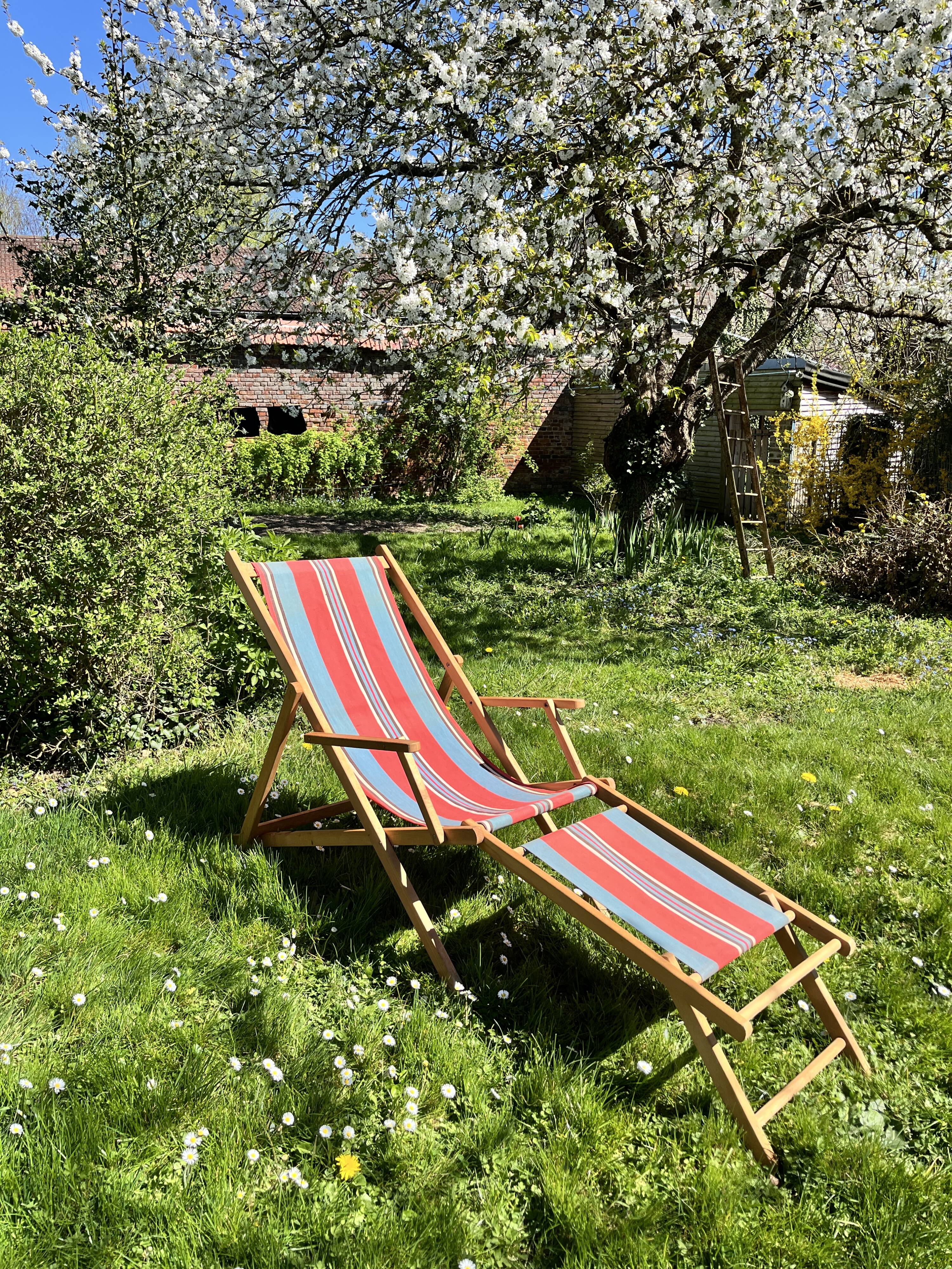 Vintage Chilean lounge chair
