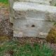 Pair of vintage antique stone Medici planters