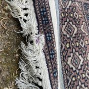 Tapis d'orient