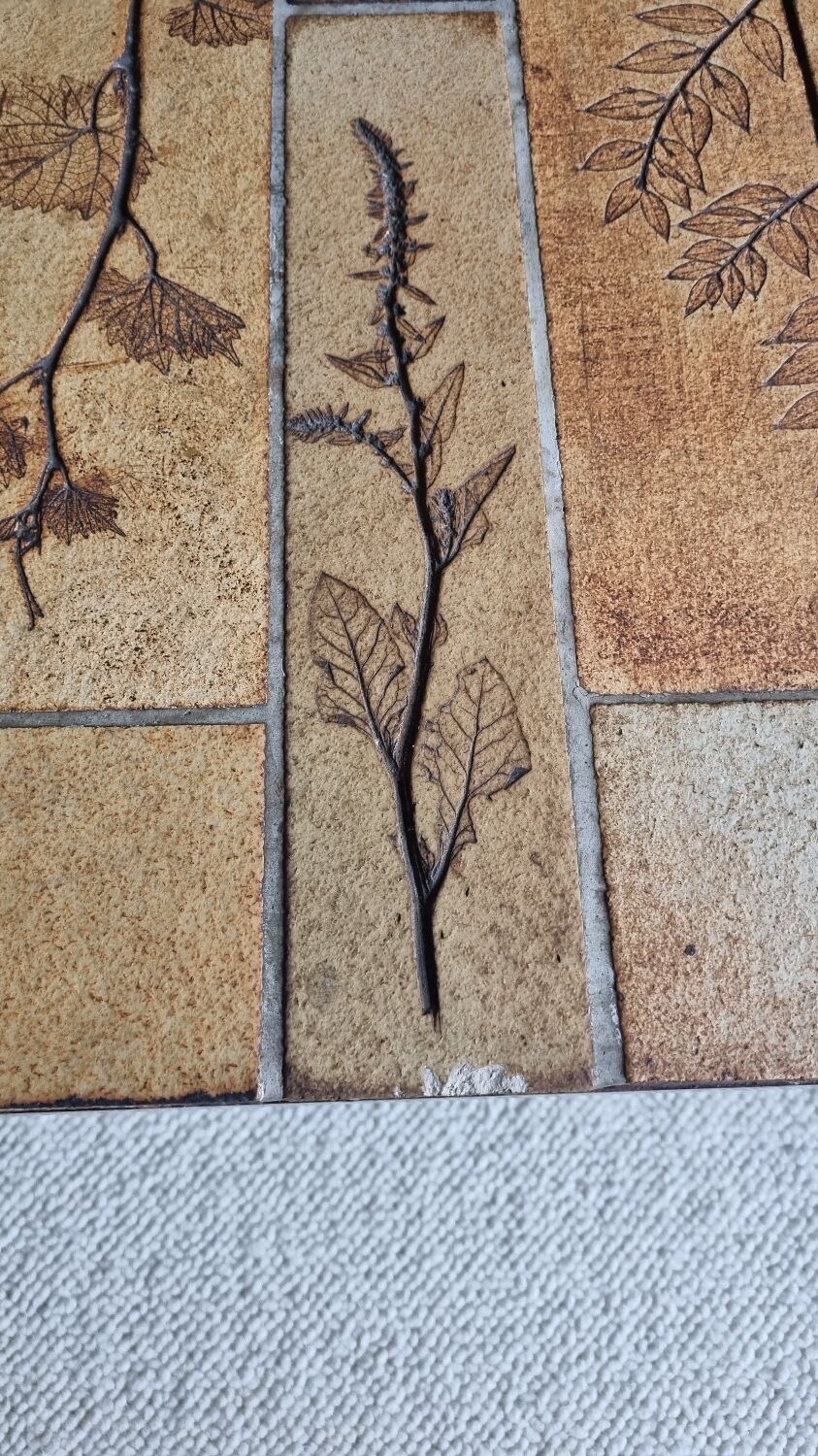 Table basse roger capron