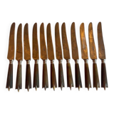 Box of 12 fine table knives from the late 19th century in horn.