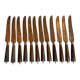 Box of 12 fine table knives from the late 19th century in horn.