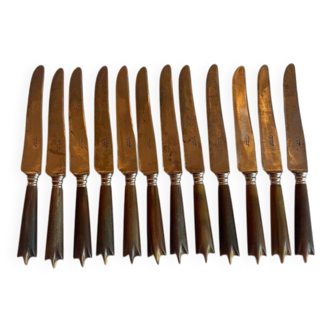 Box of 12 fine table knives from the late 19th century in horn.