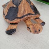 tortoise