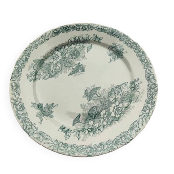 Pexonne flat plate