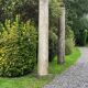 Pair of istrian stone columns, venice 16th century