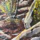 Fontainebleau Forest, signed R. Vacher