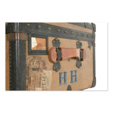 Moynat travel trunk