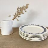 Flat plates blue leaves