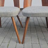 Chaises conçues par Antonín Šuman pour Tatra Nabytok, Tchécoslovaquie des années 1960.