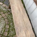 Old bench