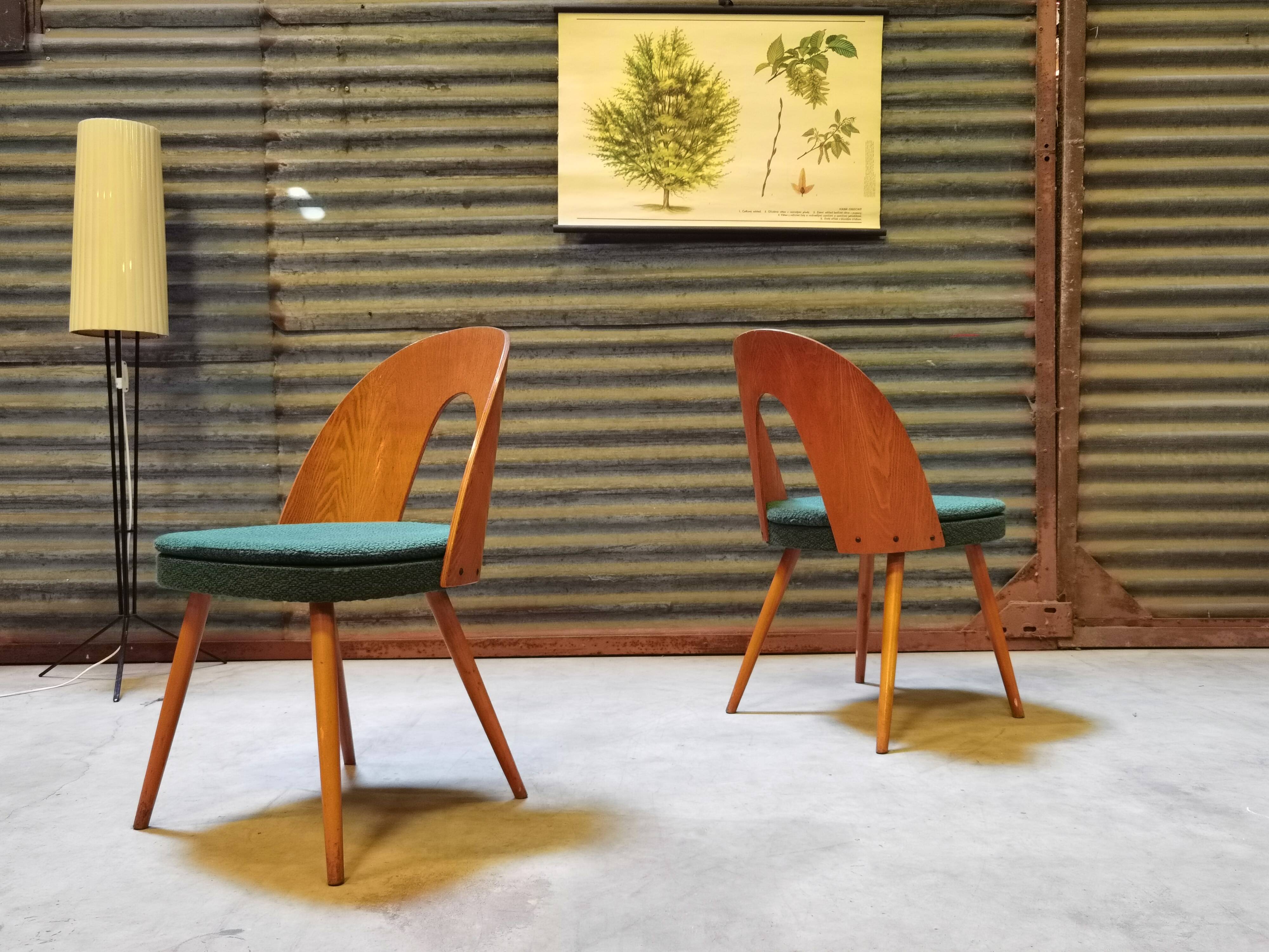 Pair of chairs by Antonin Suman for Tatra 1960