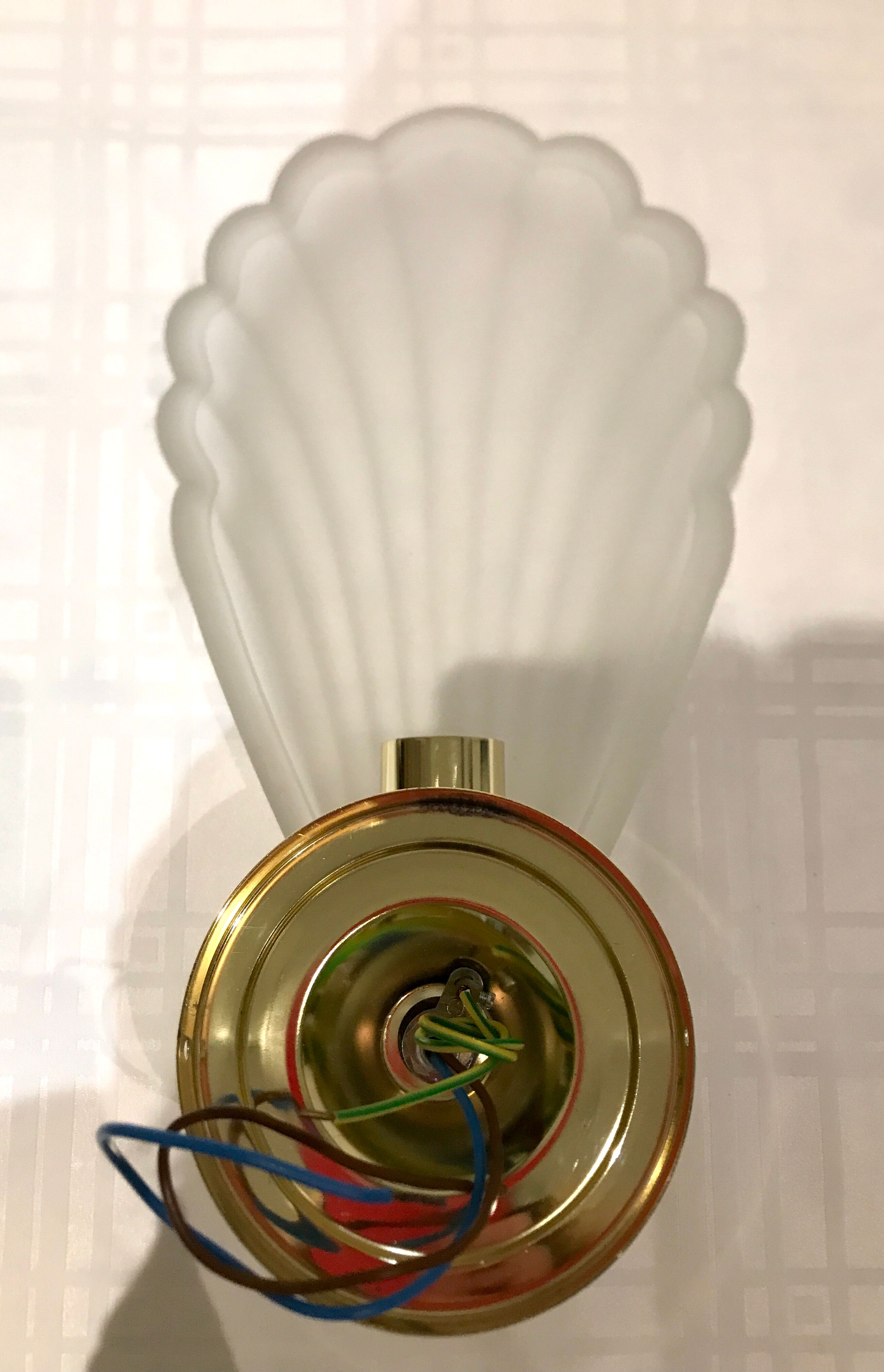 Pair of shell sconces