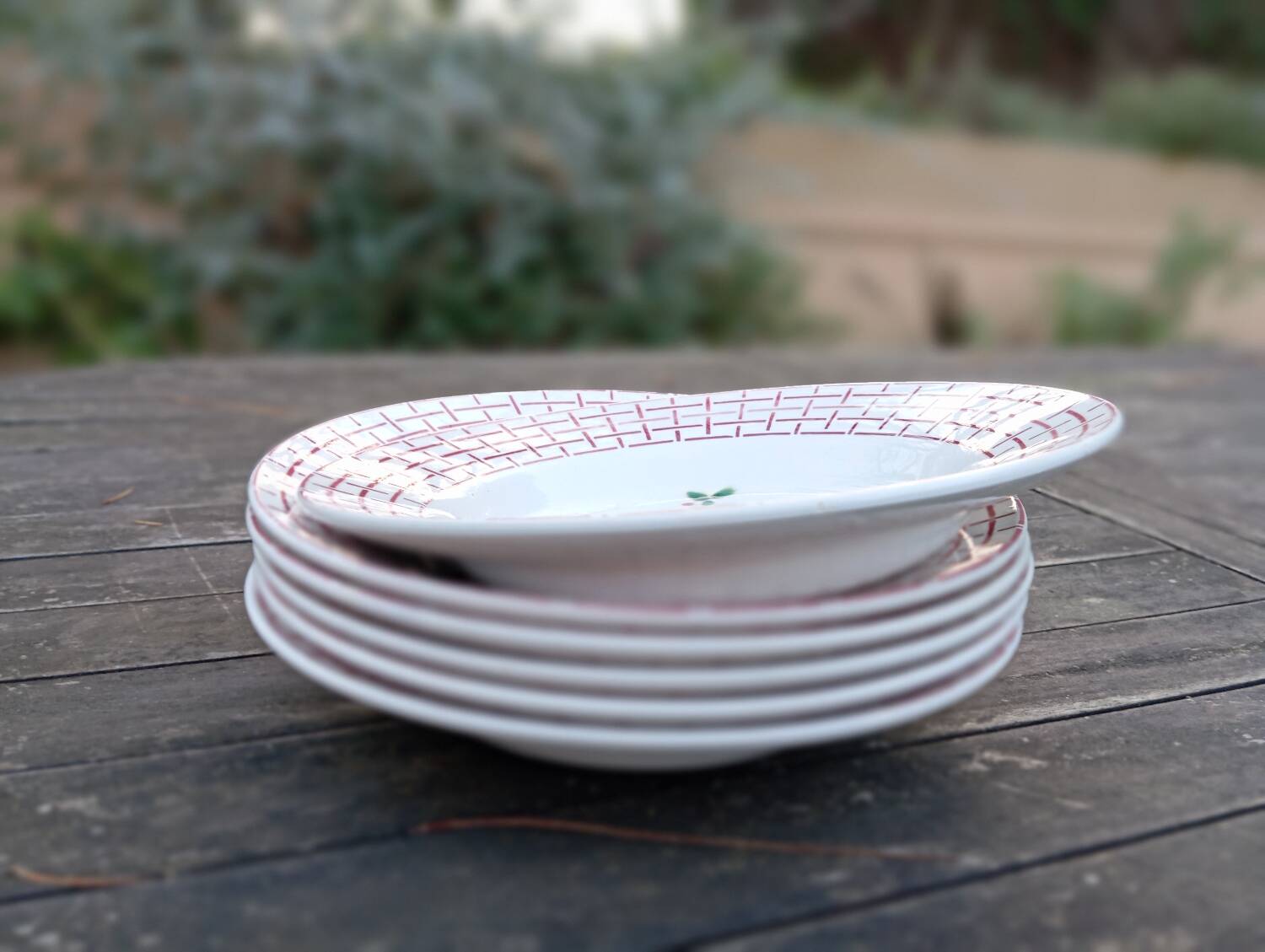 6 Rosa earthenware soup plates by Digoin Sarreguemines, 1950s