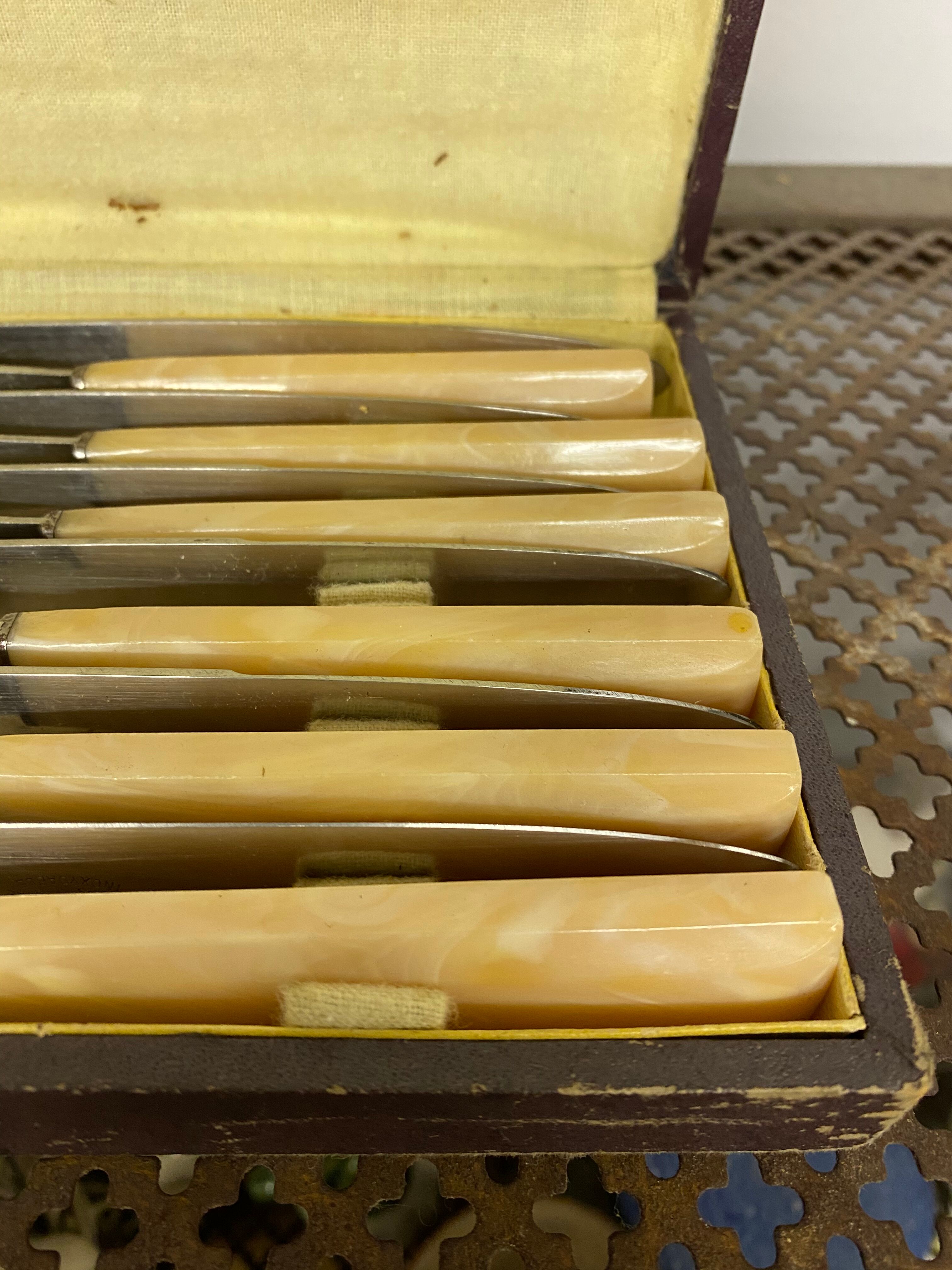 Box of 12 stainless steel knives