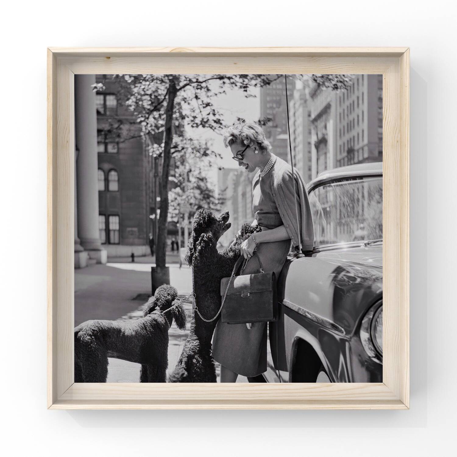 Inga Lindgren And Poodles, 1956