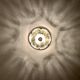 1 of 2 Large Brass and Floral Ice Glass Flush Light by Glashütte Limburg