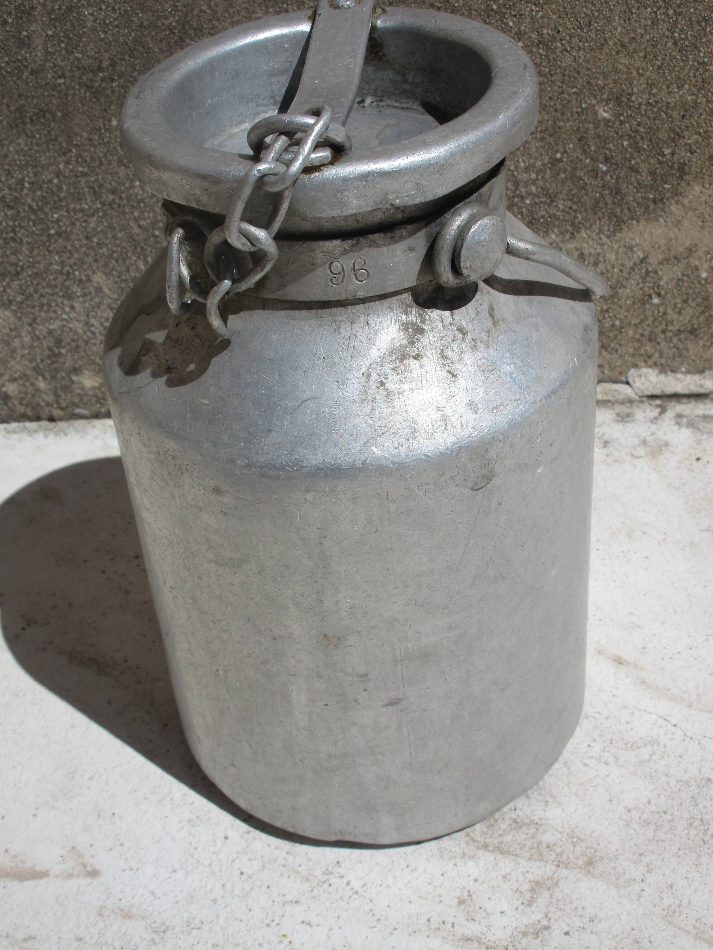 Pot a milk model while alu