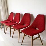 Midcentury hungarian chairs, side chairs by Judit Burian and Erika Szek, 1950s