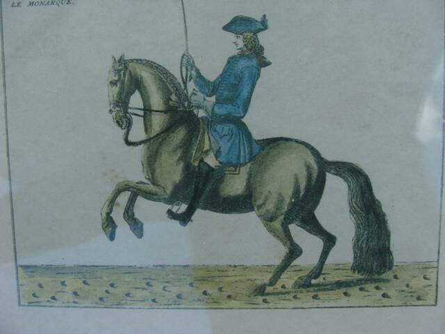 Equestrian engraving The Monarch