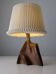 Sculptural table lamp in carved olive wood, organic modern 1970s