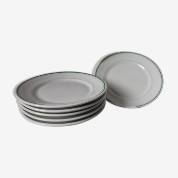 Lot de 6 assiettes blanche et verte