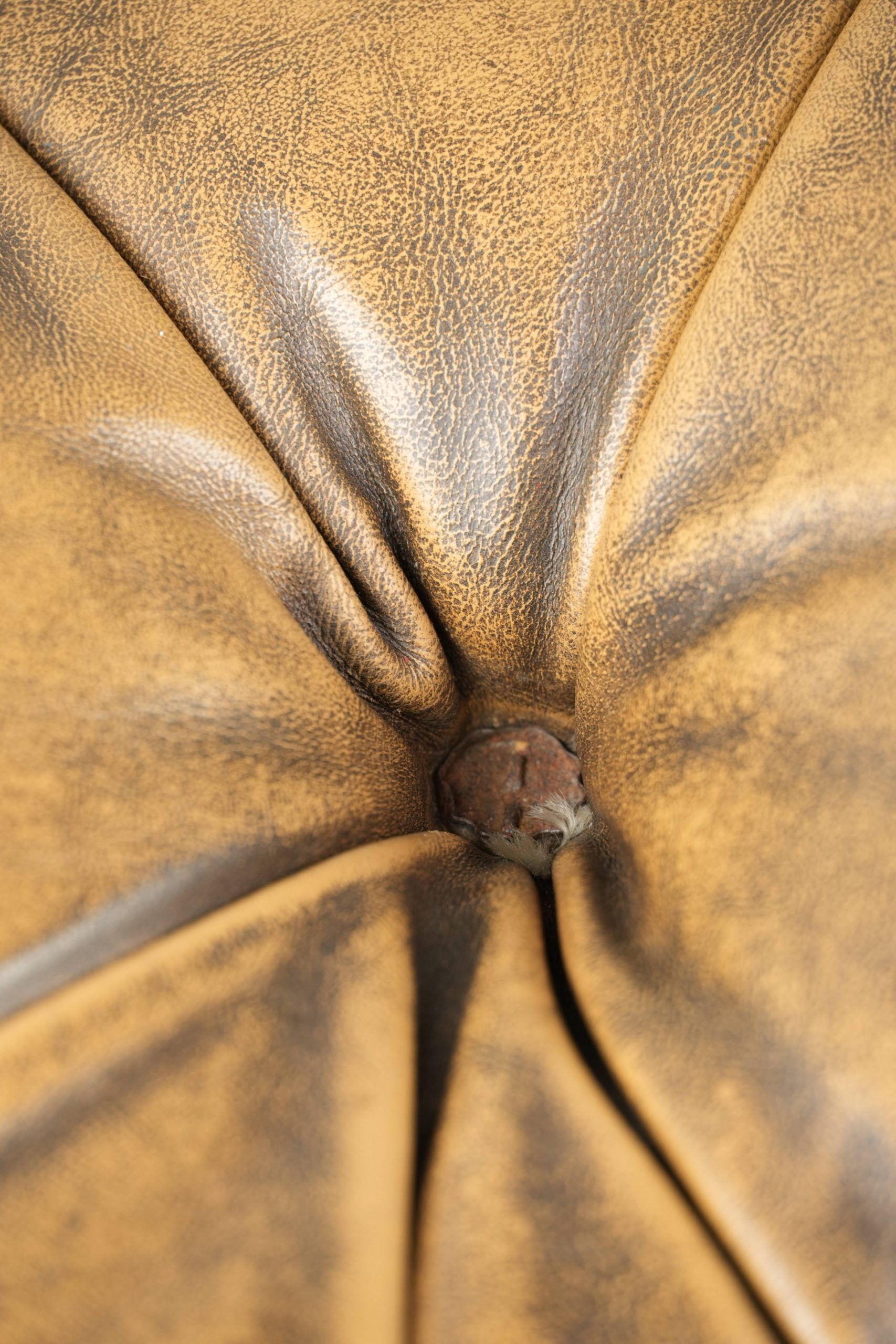 Ottoman chesterfield anglais en cuir élégant, fini avec des clous décoratifs.