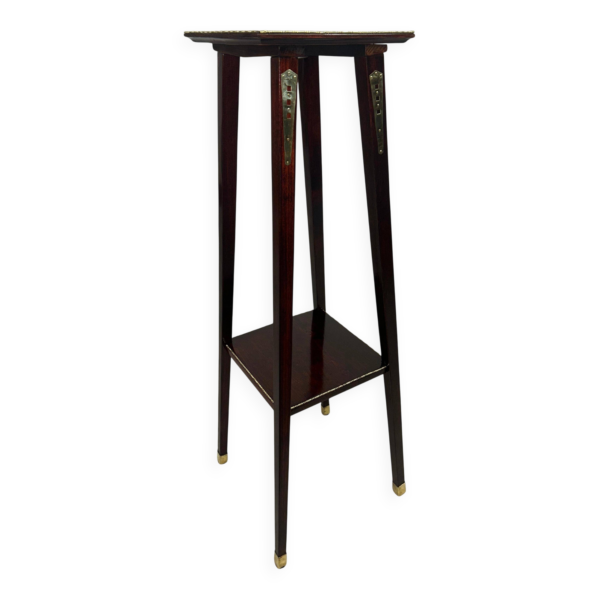 Vienna Secession plant support