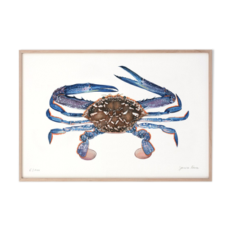Crabe 20 x 30 cm