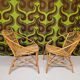 Garden lounge set in vintage bamboo rattan 1960