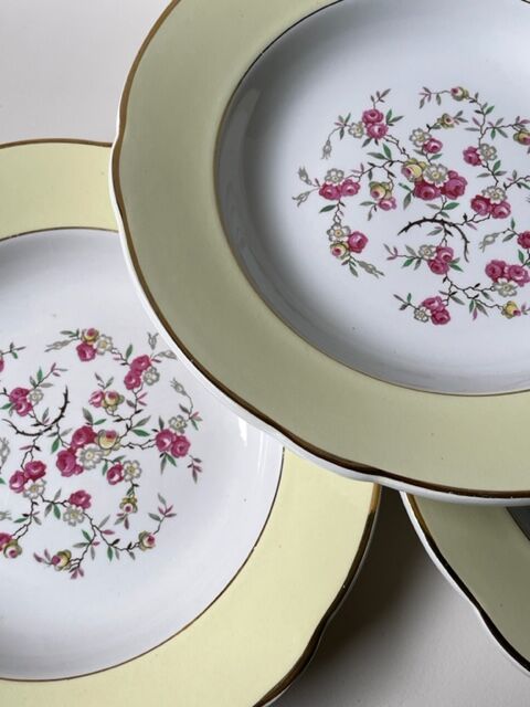 Lot de 10 assiettes creuses Lunéville