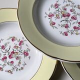 Set of 10 hollow plates Lunéville
