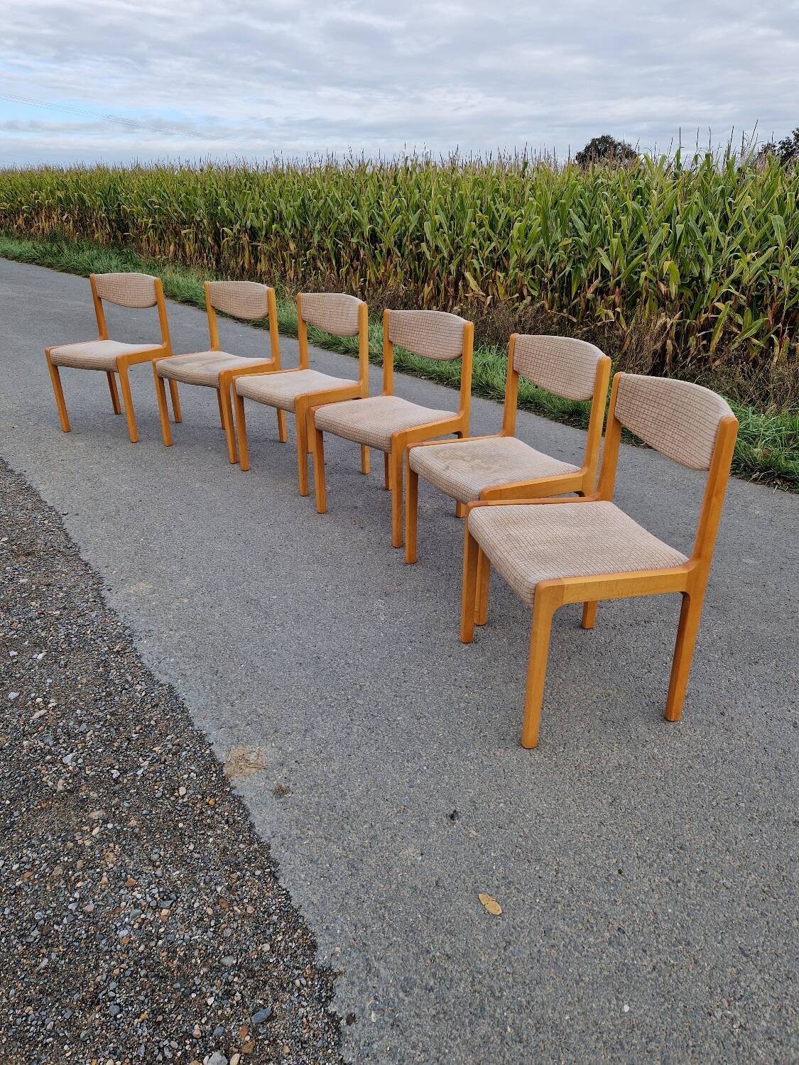 Set of 6 vintage beech chairs to clean or reupholster