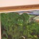 “Lush Landscape” by Alf Samuelsson