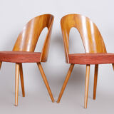 Pair of Mid Century chairs made in 1950s Czechia, designed by Antonín Šuman