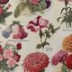 Lithographie sur les fleurs annuelles - 1920