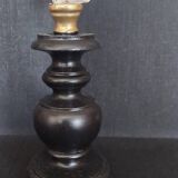 Cabinet of Curiosities murex ramosus chicoreus shell on base