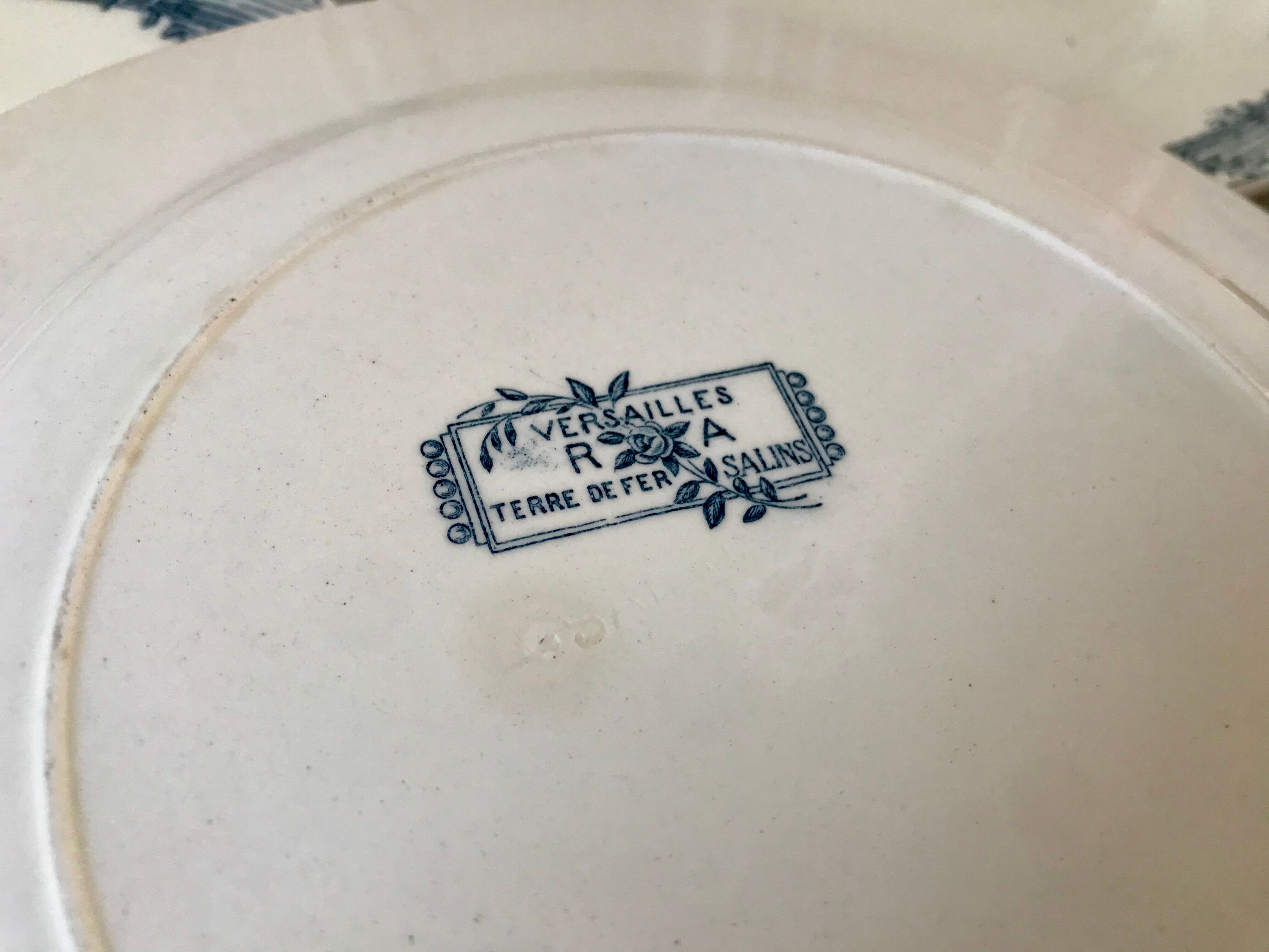 7 flat plates Terre de Fer Salins model "Versailles" XIXth