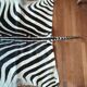 Zebra skin rug