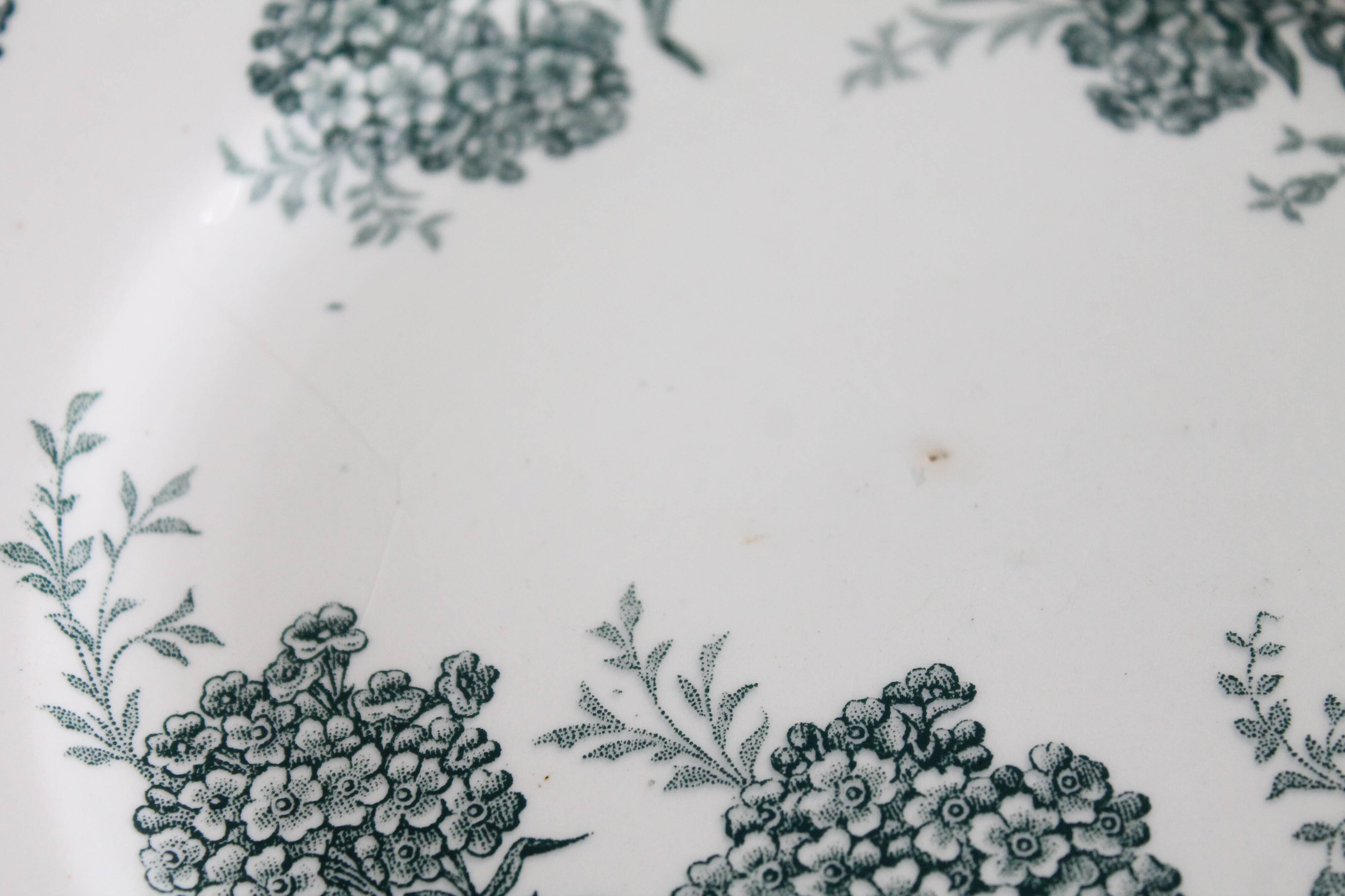 Antique flower plates DAISY St Amand x 2