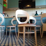 Suite 6 chairs Baumann seagull