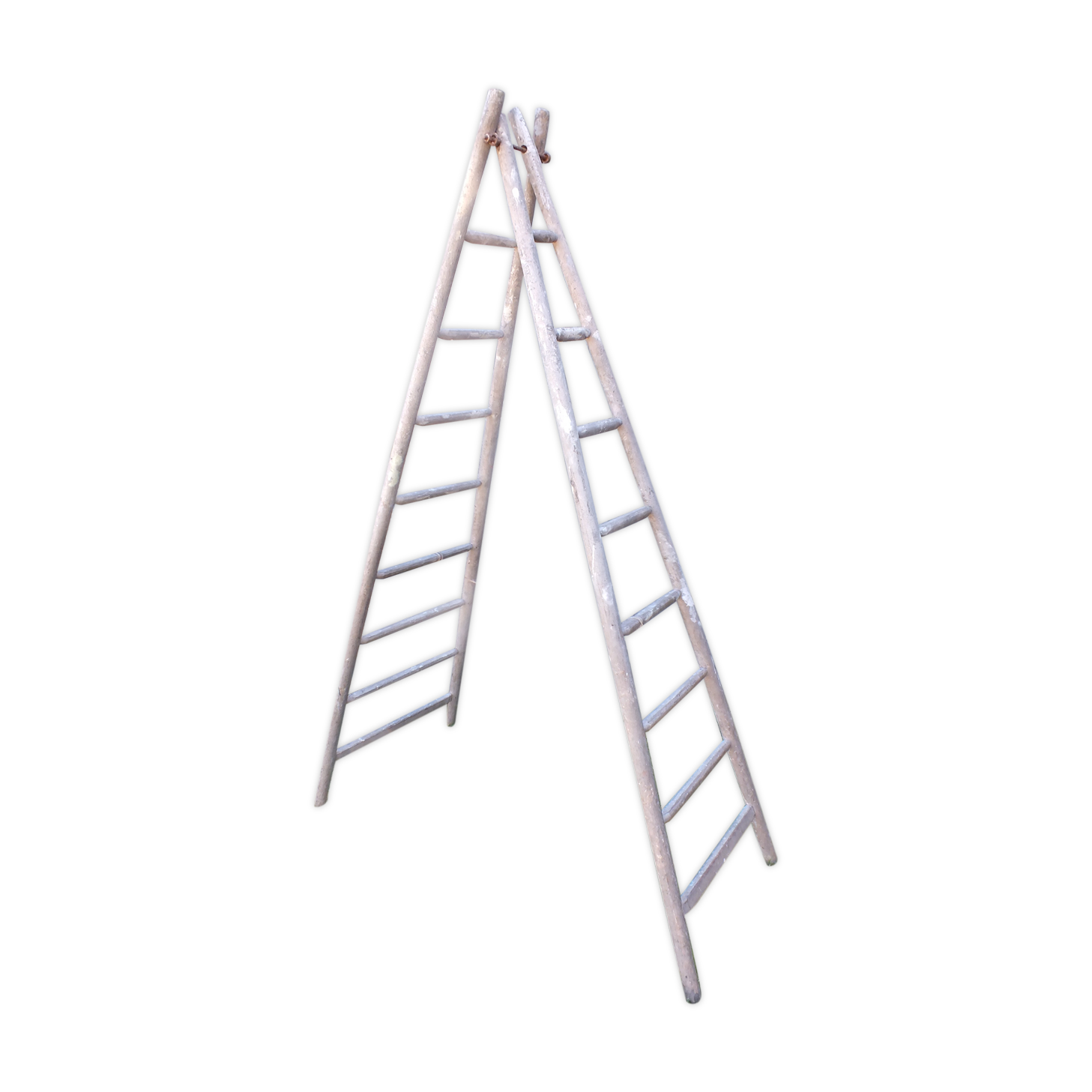 Former scale painter