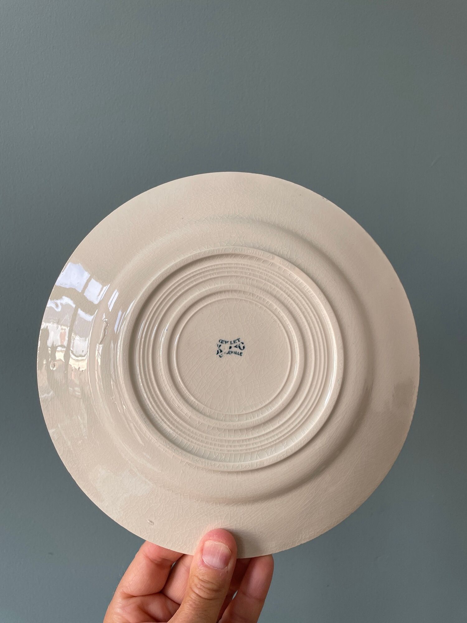 Set of 8 plates Terre de Fer 1900 K.G Lunéville, model "Carnation"
