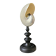 Nautilus / Pearly Nautilus, Black Turned Wood Base H: 24 cm
