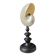 Nautilus / Pearly Nautilus, Black Turned Wood Base H: 24 cm
