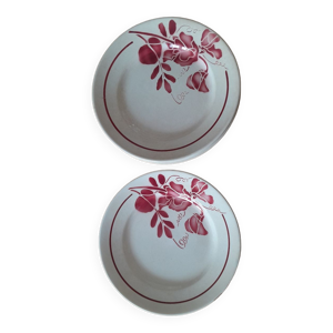 10 assiettes Moulin des - loups