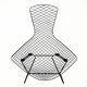 "Bird" armchair and ottoman by Harry Bertoia for Knoll, 1960s