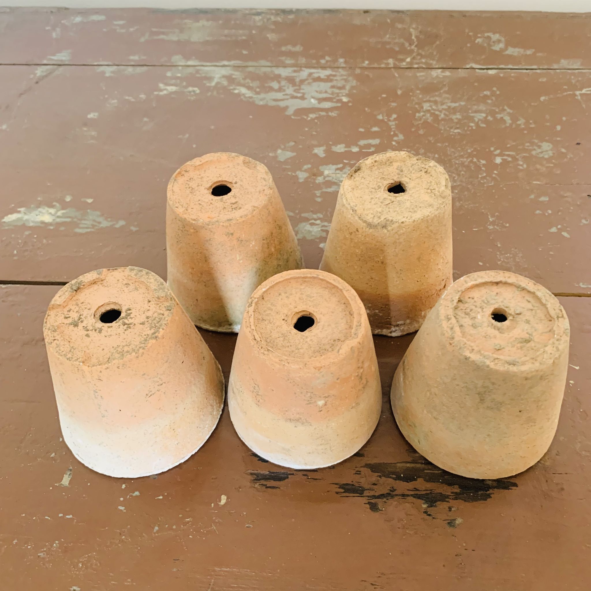 Lot de 5 pots en terre cuite circa 1930 graineterie